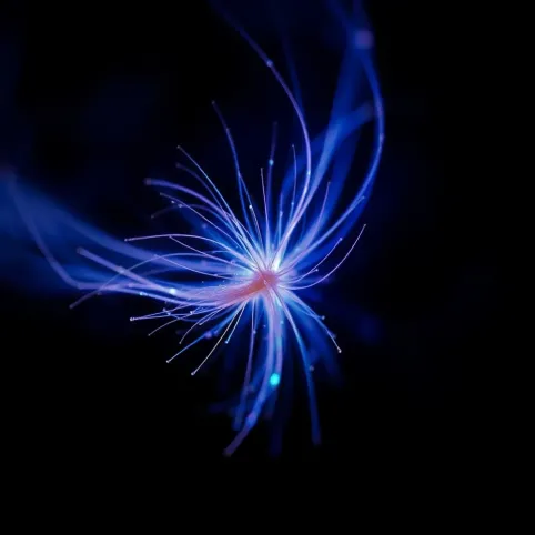 Czy człowiek wytwarza pole elektromagnetyczne