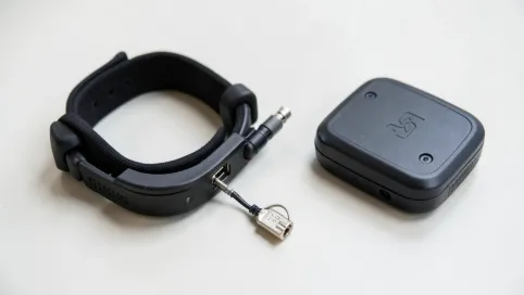 Dozór elektroniczny do ilu lat