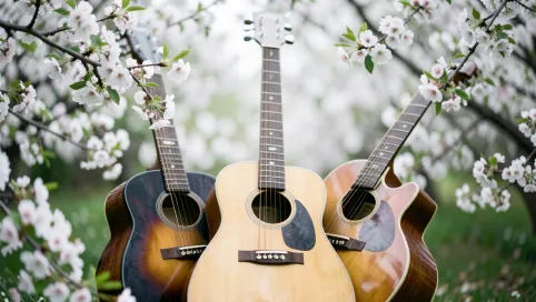 Elektryczne Gitary  Kwiat Jabłoni tekst