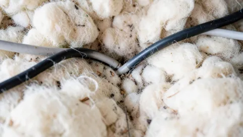 Instalacja elektryczna w wełnie