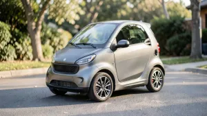 Microcar elektryczny cena