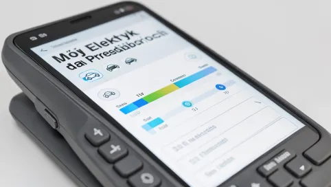 mój elektryk dla przedsiębiorców kalkulator