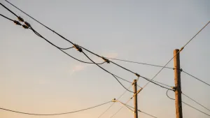 Elektromonter linii napowietrznych zarobki