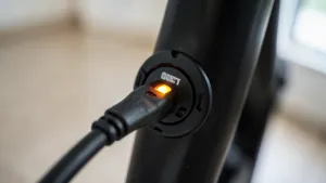 Ile czasu ładuje się rower elektryczny